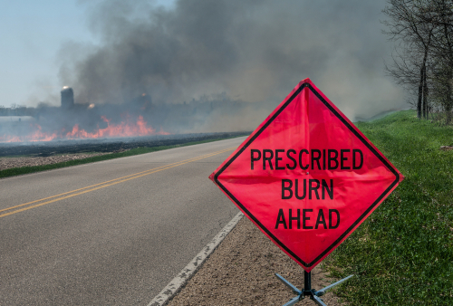 Eagle Fire Department Controlled Burns - News Image