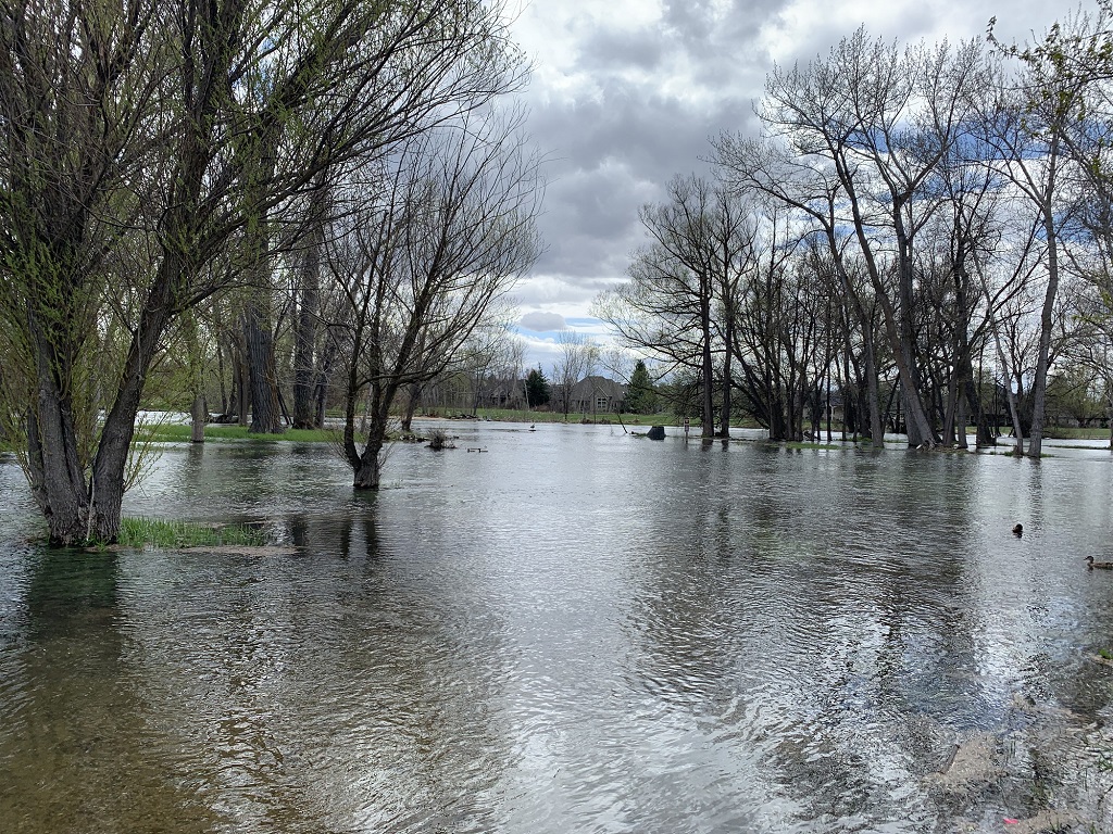 Flood Safety