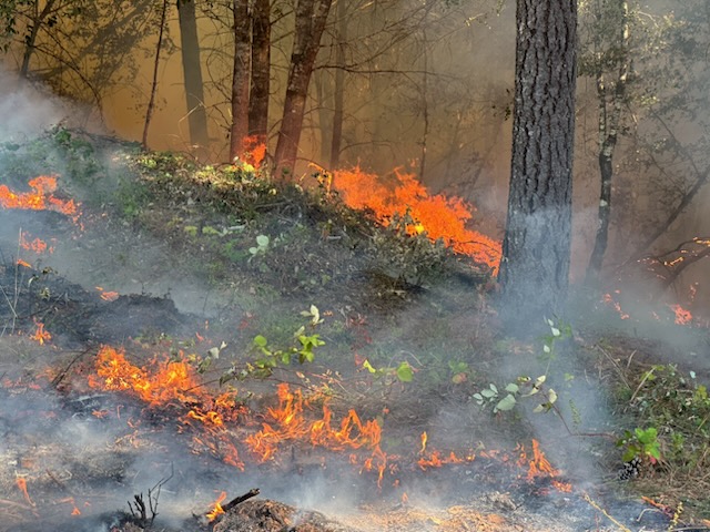 Eagle Fire Department | Official Site - Burning Rules
